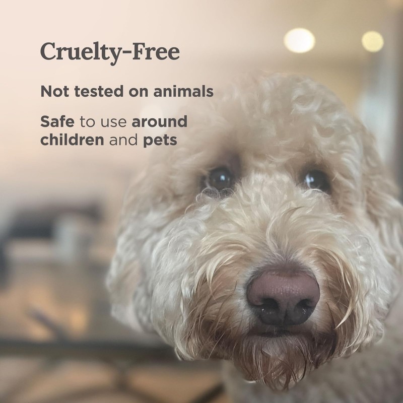 Magnificent 101 Long Lasting Pure Sage Scented Candle - 6