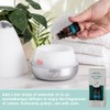 SpaRoom Aromatherapy 100% Pure Undiluted Essential Oil, Purify Tea Tree,