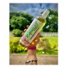Shampoo Anticaida Romero Extracto Cebolla Hialurónico 500ml