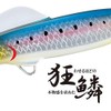 Shimano XG-880U Sardine Edition 002 Flounder Surf Saltwater Lure, Salt
