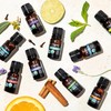 Cliganic Organic Geranium Essential Oil, 100% Pure Natural for Aromatherapy