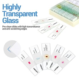 LAKWAR LAKWAR 30 Microscope Slides with Specimens for Kids, Prepared Microscope Slides for Kids Microbiology, Glass Slides for Microscope, Biology Gifts for Adults Kids