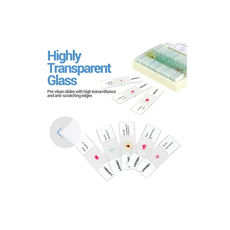LAKWAR LAKWAR 30 Microscope Slides with Specimens for Kids, Prepared