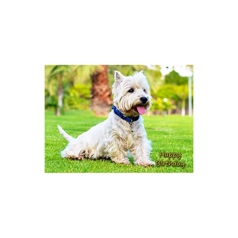 West Highland Terrier Birthday Card