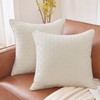Leeden 20x20 Pillow Inserts Set of 2-20 Inch Decorative Throw