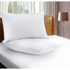 Adam Home 100% Brushed Microfiber Pillow Protectors (2 Pack, Standard