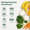 NIWALI Moringa Oleifera + Leaf Nutritional Supplement | Immune System