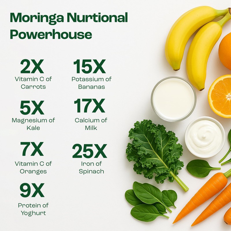 NIWALI Moringa Oleifera + Leaf Nutritional Supplement | Immune System