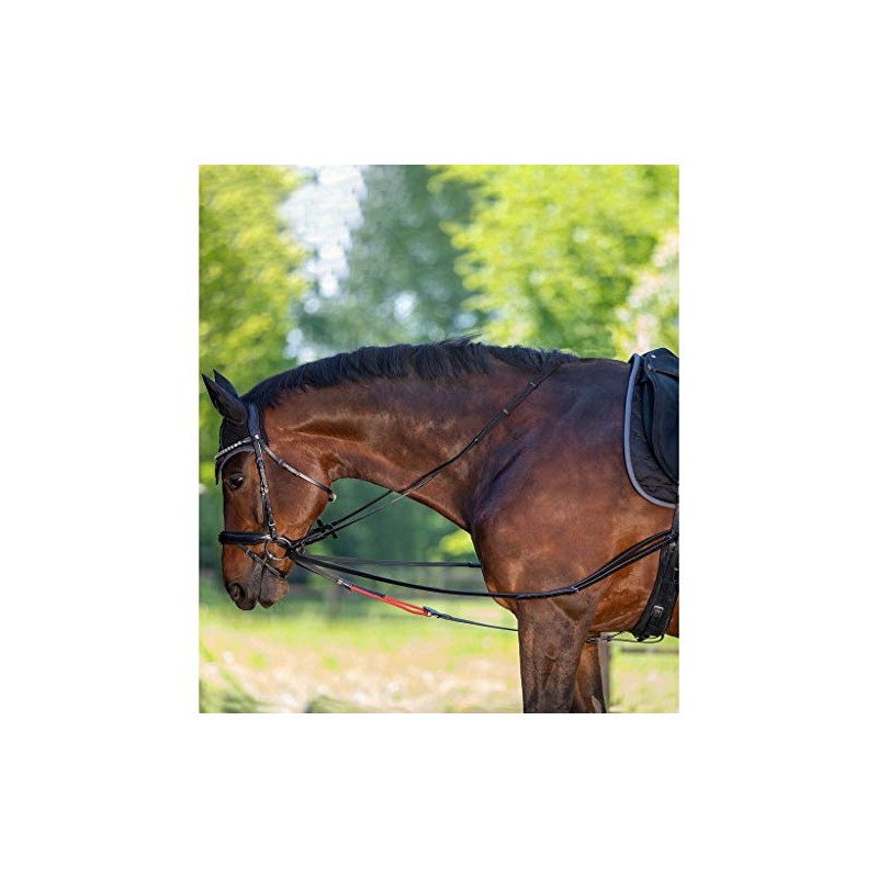 Waldhausen W-TRAINREIN Leather Triangle Reins: Riding Accessories, Lunging Accessories, Flexible