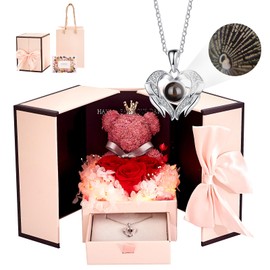 Preserved Red Rose Moss Bear Gifts with LED Light including 925 Sterling Silver I Love You Necklace for Mom Wife Girlfriend,Anniversary Valentines Day Mothers Day Christmas Birthday Gifts for Women