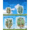 4 Pack Large Fruit Tree Netting, 5.9 x 5.9 Ft