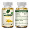 3 Bottles Mullein Leaf Capsules Lung Cleanse Detox Herbal Dietary