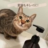 アイリスオーヤマ 犬 シャンプー 【贅沢16種のアミノ酸】 トリートメントインシャンプー ボタニカルソープの香り 無添加 国産 400ml P-TS400