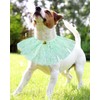 BIPY Green Dog Tutu Collar with Bell Neck Accessories for