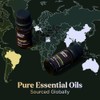 Lagunamoon Premium Essential Oils Set,Top 20 Pure Natural Aromatherapy Oils