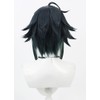 Rai Inami Cosplay Wig, Short Wig, Cosplay Wig with Dedicated