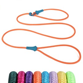 6 FT Dog Leash Dog Slip Lead, Dog Training Leash, Durable Slip Leads for Dogs, No-Pull Slip Leash and Collar, Lightweight & Durable, Dog Leash for Small Dogs, Medium Dogs Puppies, Orange