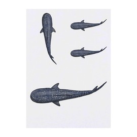 4 x 'Whale Shark' Temporary Tattoos - Water Resistant, Skin-Safe, Non-Toxic Transfers, Mixed Sizes (TO00071804)