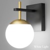 Ralbay Black Gold Wall Sconce, Mid Century Modern Wall Lighting