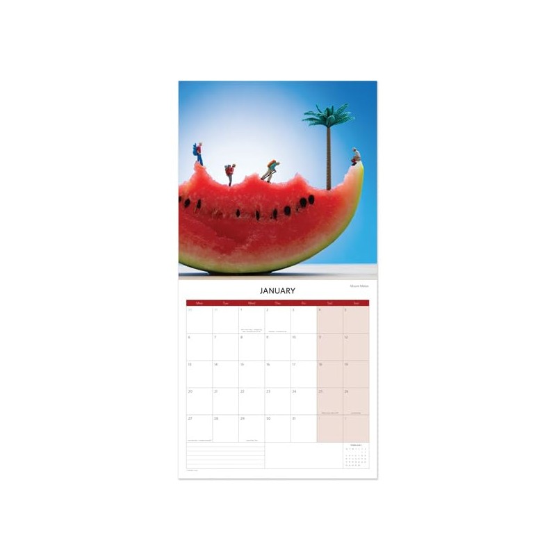 2025 Small World Square Calendar