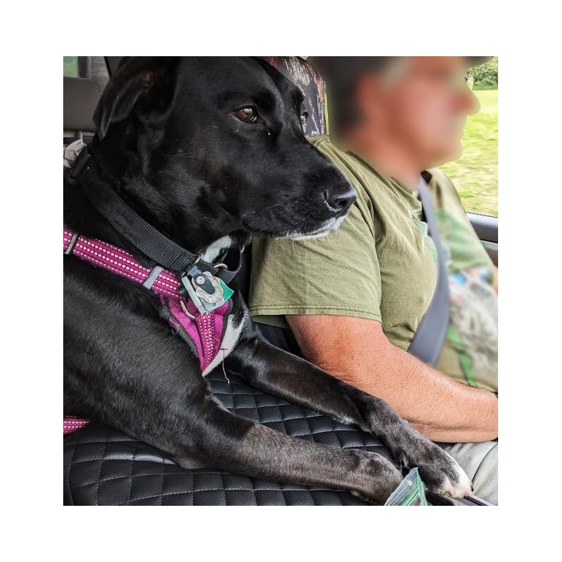 xinghe for 2014-2018 Silverado Sierra Jump Seat Console Leather Armrest