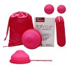 Discos Menstruales Reusable Silicona L Más S 2pcs Con Caja