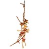 Zoo-Max Fun Loving Bird Toy with Paper Rope
