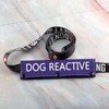 Dog Reactive Leash Sleeve Nervous Dog Leash Wrap Reactive Dog