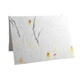 Of The Earth Handmade Paper - Wildflower Seed Paper Folding Card - Blank Inside - A2 Size - Set of 8 - Recycled Envelopes and Planting Guides Included (43s Yellow & Fern)
