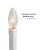 SUNSGNE 25 Pack Candle Light Bulbs, C26 Crystal Clear Torpedo
