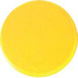 Champion Sports Rounded Edge Foam Discs