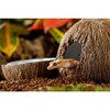 Exo Terra Exo Terra Tiki Hide & Water Dish,Brown,2 count