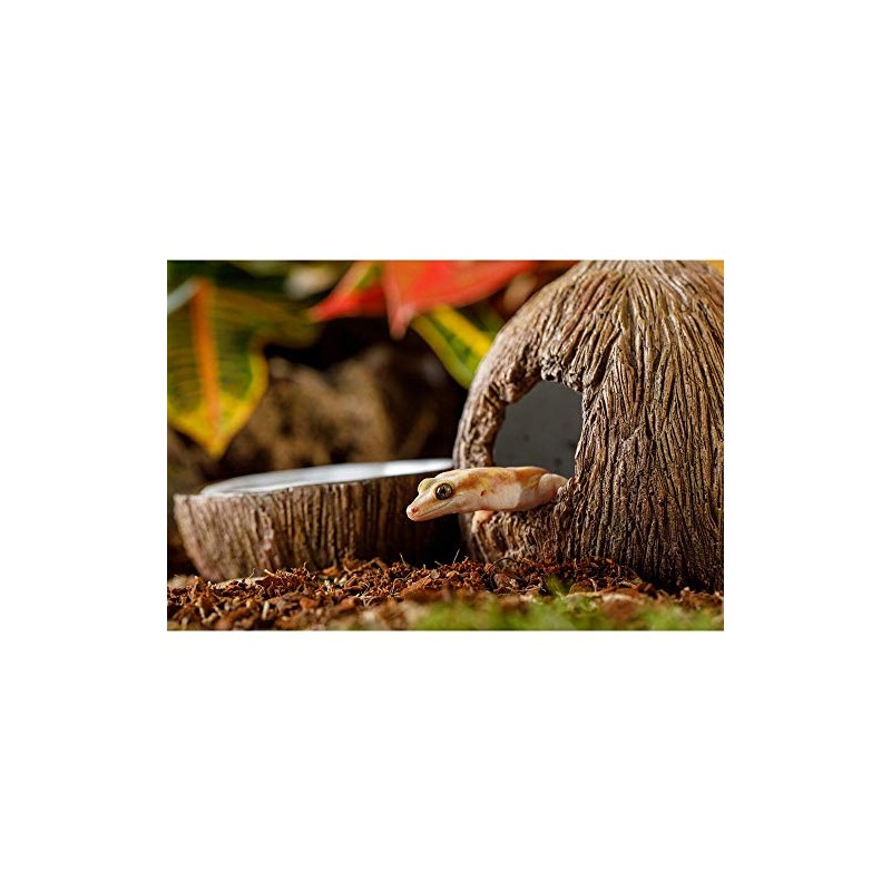 Exo Terra Exo Terra Tiki Hide & Water Dish,Brown,2 count