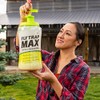 RESCUE! Fly Trap Max Bundle - Large Reusable Outdoor Traps