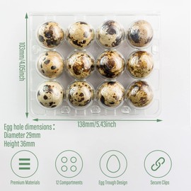 QIUMING 12 Grid Quail Egg Boxes Quail Egg Boxes Quail Egg Box Box Egg Container Plastic Small Egg Storage Box with Lid for Small Eggs Quail Pheasant