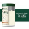 Great Lakes Wellness Hidrolizado Colágeno Proteína Carne Res Sabor Chai