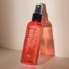 Paul Madison Steam Glow Hyaluronic Acid Mist 100ml, 1 pc