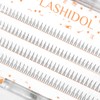 LASHIDOL Partial False Eyelashes Under Natural Home Self Pine Extensions