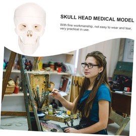 ULTECHNOVO 1pc Detachable Skull Model for Art and Teaching Miniature Human Skull Anatomy Model for and Home Decor Creative Decor