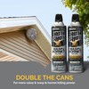 Hot Shot Wasp & Hornet Killer Spray, For Insects Eliminates