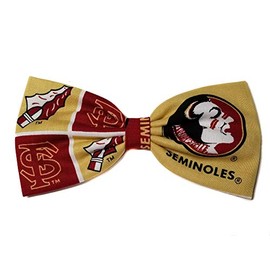 Sports Themes Hair Bow Collection (Headband, FSU Seminoles/Gold)