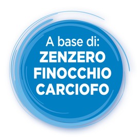 P6 Nausea Control, Gomme da Masticare Azione Anti-Nausea, Senza Zucchero, a base di Zenzero, Finocchio e Carciofo, Sollievo per Nausea e Difficoltà Digestive - 1 Confezione da 24 Gomme