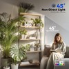 Barrina T1S Standing Grow Light for Indoor Plants with Timer,