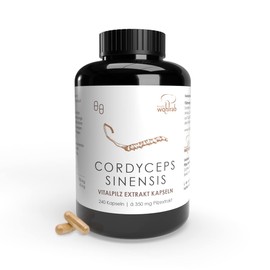 Pilze Wohlrab Organic Cordyceps Capsules High Dose 350 mg Cordyceps Sinensis Extract per Capsule Organic Acerola Vitamin C (Pack of 240)