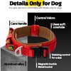 Comfortable Collar, Soft Cowhide Padded Dog Collar, Fits All Breeds,