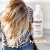 Noah 1.6 Colour Protection Shampoo with Rice Phytok Eratin 250 ml by