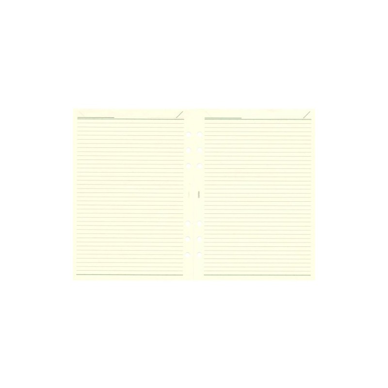 レイメイ藤井 ダヴィンチ リフィル ノート 5mm横罫 A5サイズ DAR294