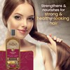 Tio Nacho Ginseng Shampoo with Royal Jelly, Herbal Hair Growth