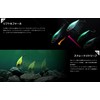 JACKALL (ジャッカル) TN38 Silent Babataku Gasagasa Shrimp