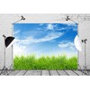 Loccor Fabric 7x5ft Blue Sky Backdrop Spring Nature Grass Blue